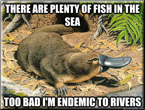 There are plenty of fish in the sea Too bad I'm endemic to rivers - There are plenty of fish in the sea Too bad I'm endemic to rivers  Platitudinous Platypus