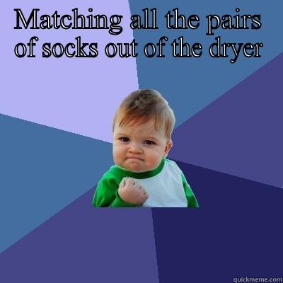 MATCHING ALL THE PAIRS OF SOCKS OUT OF THE DRYER  Success Kid
