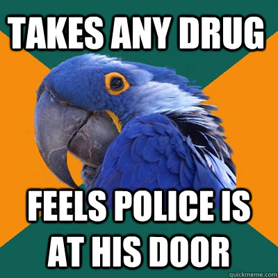 Takes any drug feels police is at his door  Paranoid Parrot