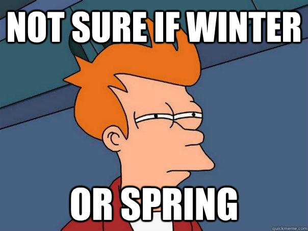 Not sure if winter Or spring  Futurama Fry