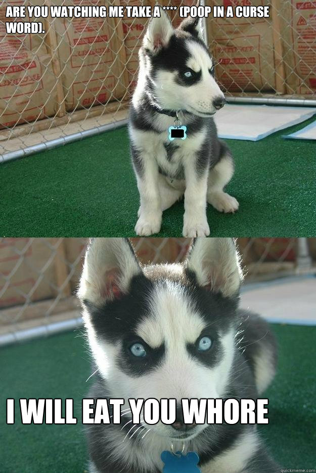 are you watching me take a **** (poop in a curse word).  i will eat you whore  Insanity puppy
