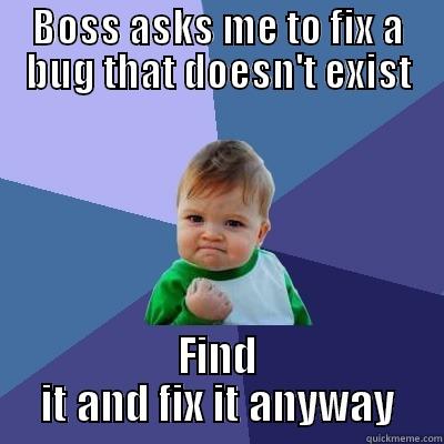 BOSS ASKS ME TO FIX A BUG THAT DOESN'T EXIST FIND IT AND FIX IT ANYWAY Success Kid
