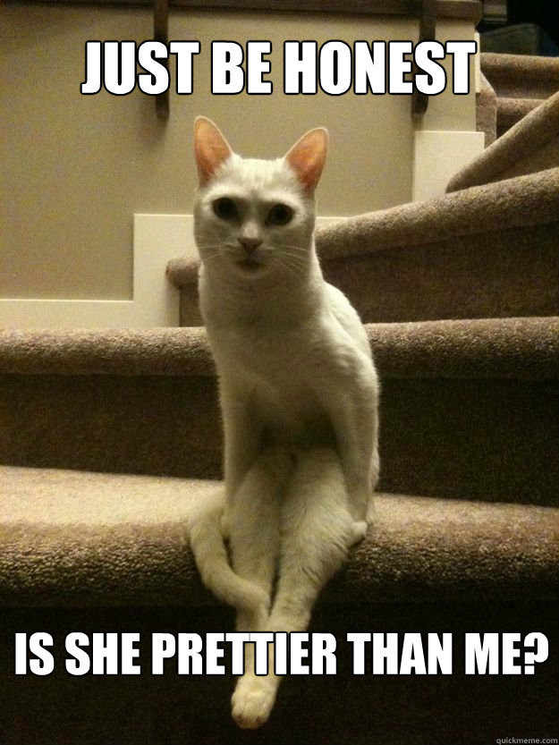 Just be honest is she prettier than me?  Possessive relationship cat