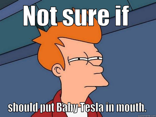 NOT SURE IF SHOULD PUT BABY TESLA IN MOUTH. Futurama Fry