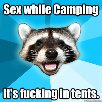 Sex while Camping It's fucking in tents.  Lame Pun Coon