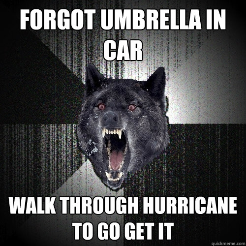 Forgot Umbrella In Car Walk through Hurricane to go get it  Insanity Wolf
