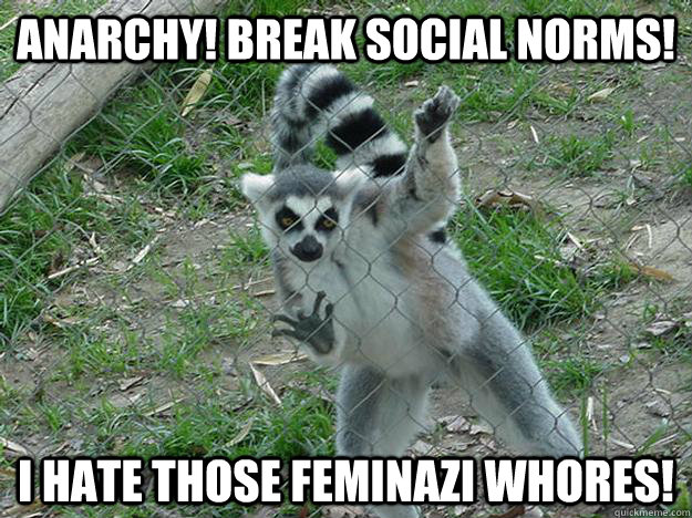 Anarchy! break social norms! I hate those feminazi whores!  