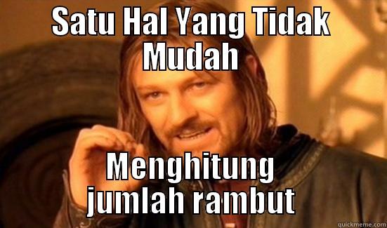 SATU HAL YANG TIDAK MUDAH MENGHITUNG JUMLAH RAMBUT Boromir