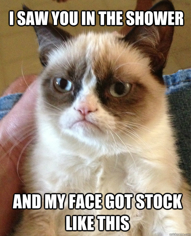 I SAW YOU IN THE SHOWER AND MY FACE GOT STOCK LIKE THIS  Grumpy Cat