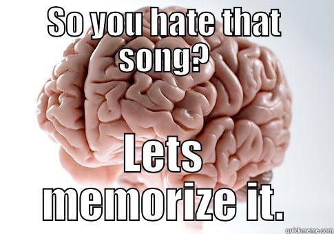 SO YOU HATE THAT SONG? LETS MEMORIZE IT. Scumbag Brain