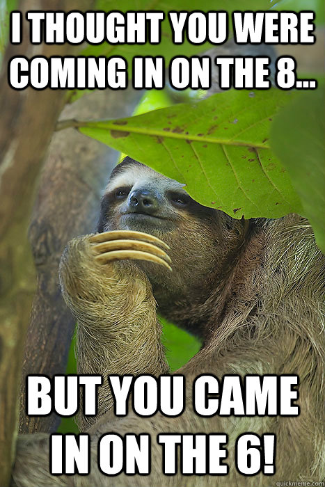 I thought you were coming in on the 8... But you came in on the 6!  Philososloth