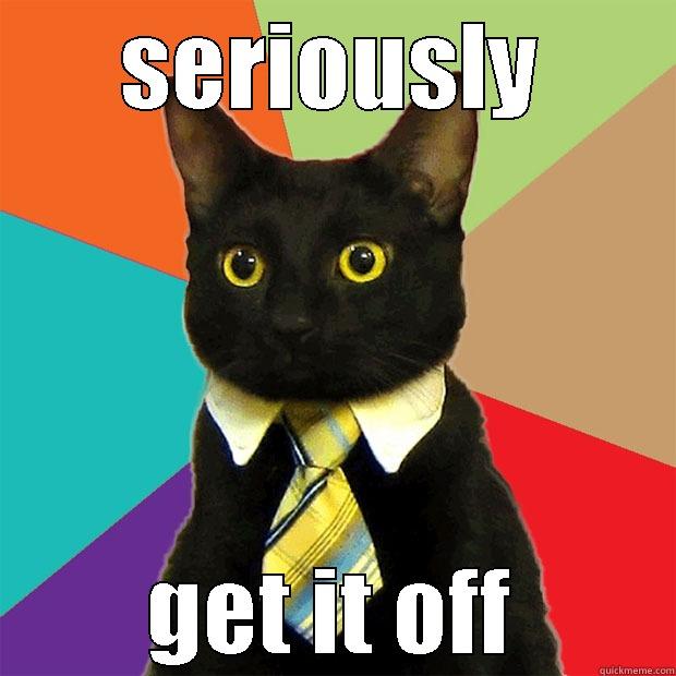 SERIOUSLY GET IT OFF Business Cat