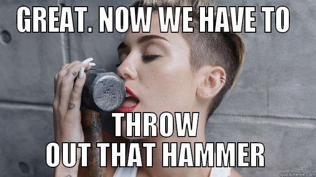 GREAT. NOW WE HAVE TO  THROW OUT THAT HAMMER Misc
