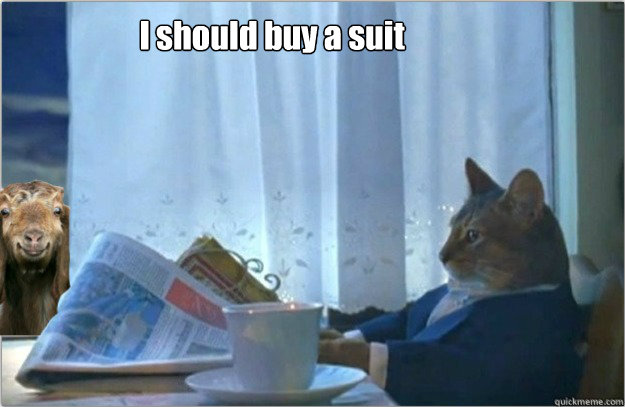 I should buy a suit - I should buy a suit  Sophisticated cat with a goat.