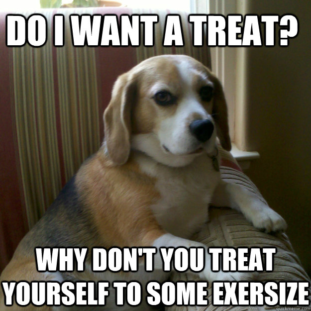 Do i want a treat? why don't you treat yourself to some exersize  judgmental dog