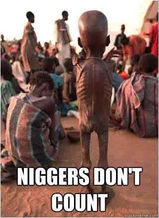  niggers don't count  Nigger