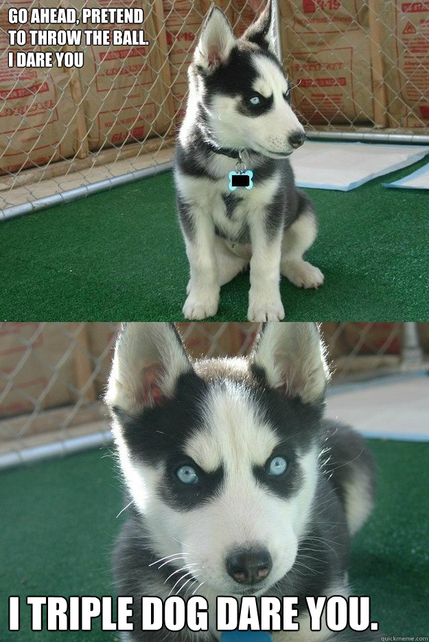 Go Ahead, pretend
to throw the ball. 
I dare you I triple dog dare you.  Insanity puppy