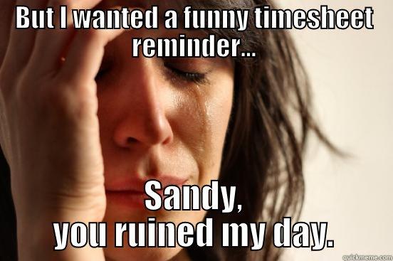 BUT I WANTED A FUNNY TIMESHEET REMINDER... SANDY, YOU RUINED MY DAY. First World Problems