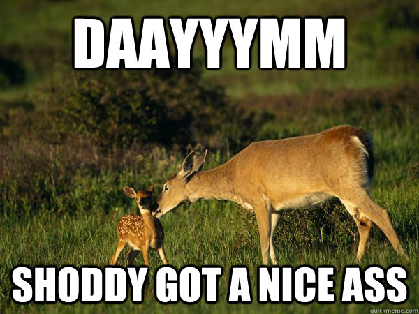 daayyymm shoddy got a nice ass - daayyymm shoddy got a nice ass  Deer