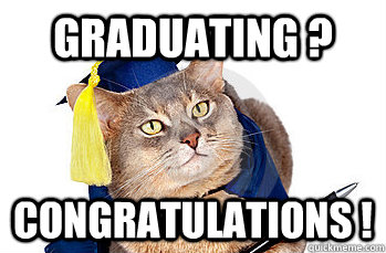 graduating ? congratulations !  graduation cat