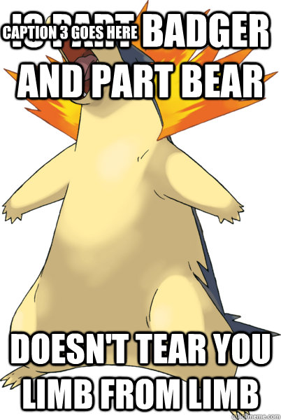 Is part Badger and part bear Doesn't tear you limb from limb Caption 3 goes here  Typhlosion