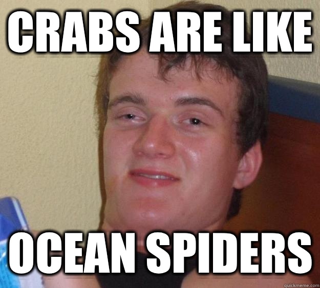 Crabs are like Ocean spiders  10 Guy