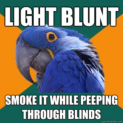 light blunt smoke it while peeping through blinds  Paranoid Parrot