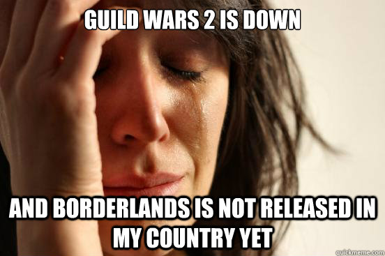 Guild Wars 2 is down And Borderlands is not released in my country yet  First World Problems