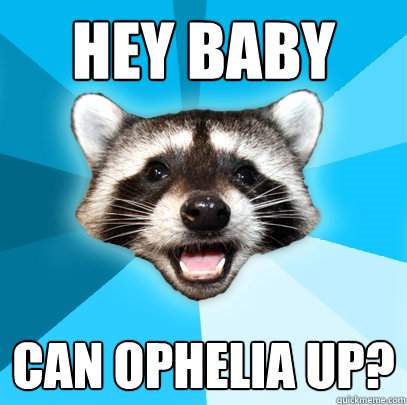 HEY BABY CAN OPHELIA UP?  Lame Pun Coon