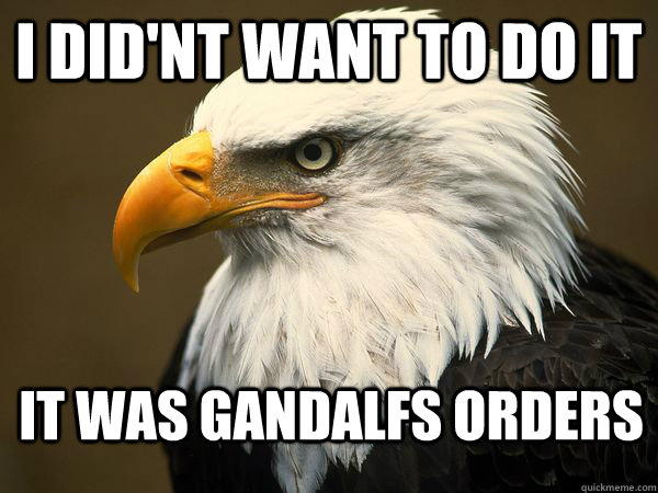 i did'nt want to do it It was gandalfs orders - i did'nt want to do it It was gandalfs orders  Misunderstood Eagle