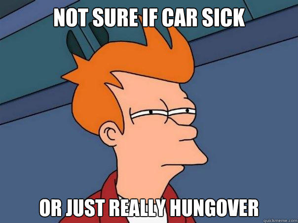 Not sure if car sick Or just really hungover  Futurama Fry