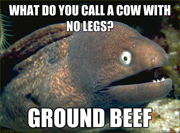 What do you call a cow with no legs? ground beef - What do you call a cow with no legs? ground beef  Bad Joke Eel