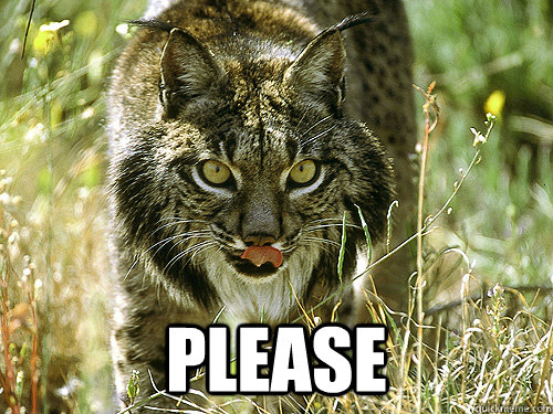  please -  please  Lynx Please