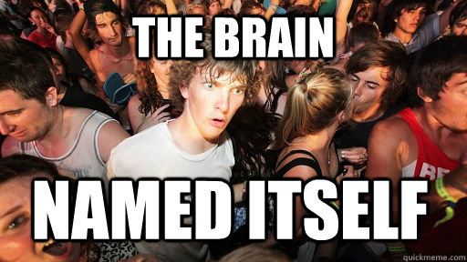 the brain named itself  Sudden Clarity Clarence