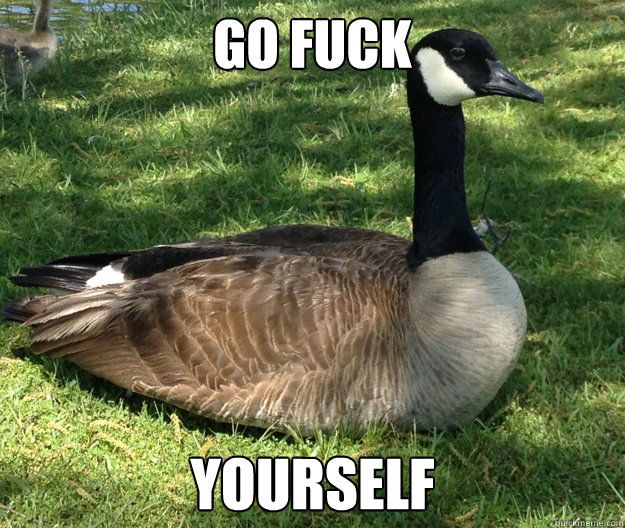 Go Fuck Yourself  Actual Advice Canadian Goose