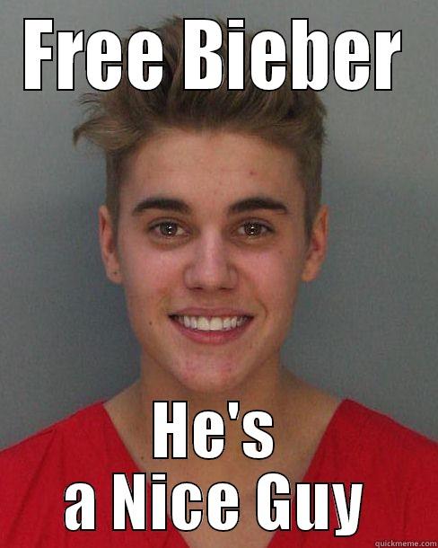 FREE BIEBER HE'S A NICE GUY Misc