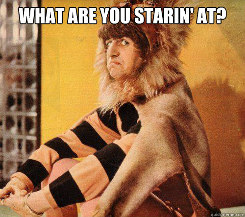 what are you starin' at?   