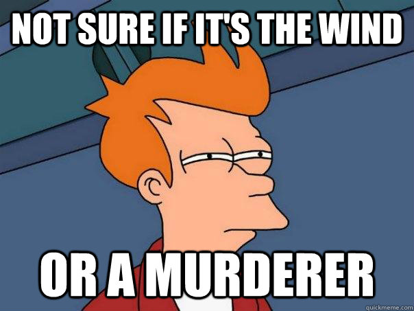 Not sure if it's the wind  Or a murderer  Futurama Fry