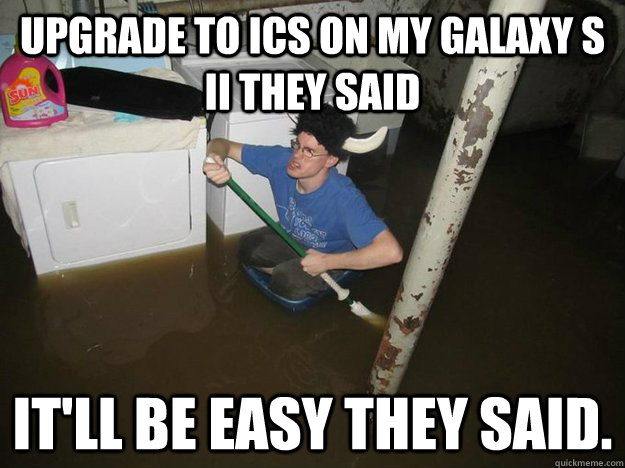 Upgrade to ICS on my Galaxy S II they said It'll be easy they said.  Laundry Room Viking