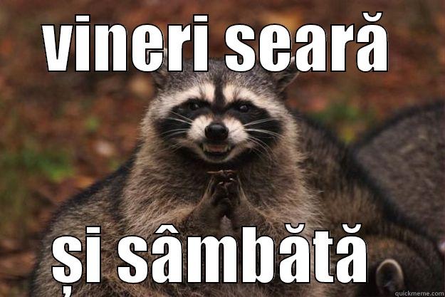 Quickly Borshe - VINERI SEARĂ ȘI SÂMBĂTĂ  Evil Plotting Raccoon
