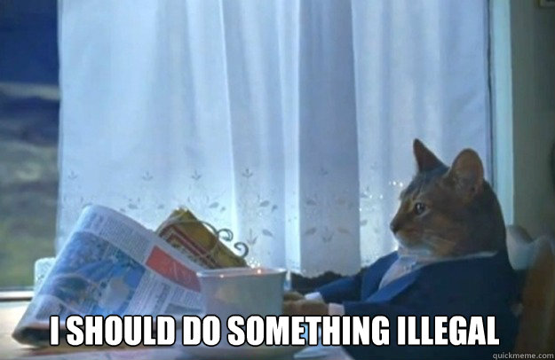 I should do something illegal   Sophisticated Cat