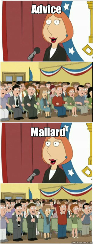 Advice Mallard  911 lois