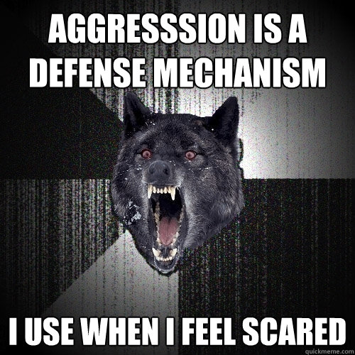 aggresssion is a defense mechanism i use when i feel scared  Insanity Wolf