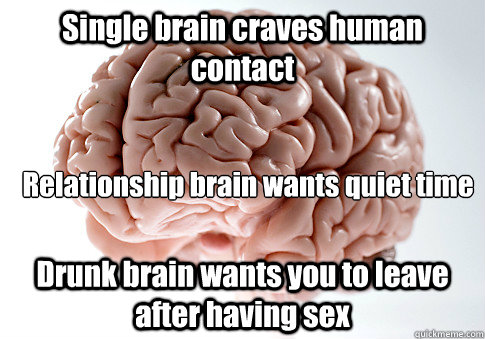 Single brain craves human contact Drunk brain wants you to leave after having sex 

Relationship brain wants quiet time  Scumbag Brain