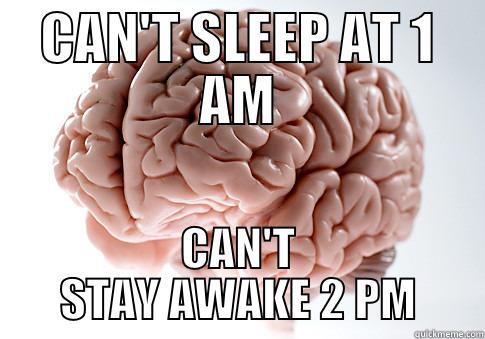 CAN'T SLEEP AT 1 AM CAN'T STAY AWAKE 2 PM Scumbag Brain