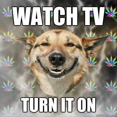 Watch tv Turn it on  Stoner Dog