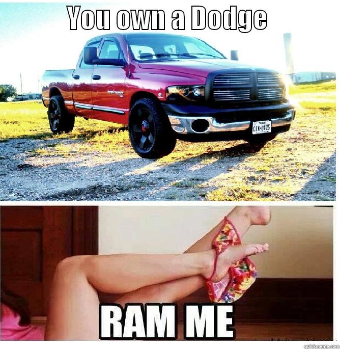              YOU OWN A DODGE                Misc