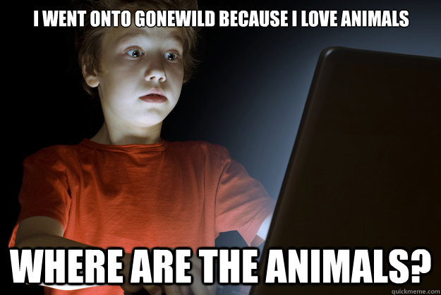 I went onto Gonewild because I love animals Where are the animals? - I went onto Gonewild because I love animals Where are the animals?  scared first day on the internet kid