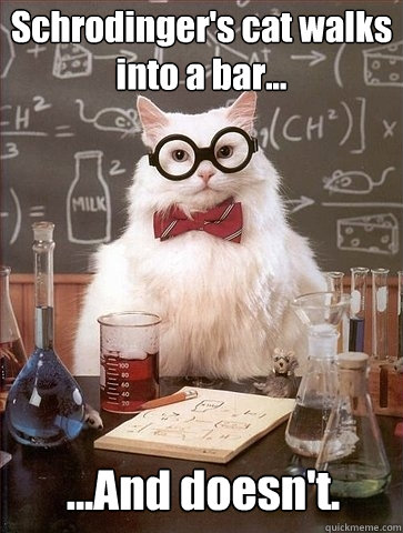 Schrodinger's cat walks into a bar... ...And doesn't. - Schrodinger's cat walks into a bar... ...And doesn't.  Chemistry Cat