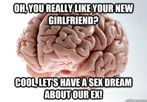 Oh, you really like your new girlfriend? Cool, let's have a sex dream about our ex!  Scumbag Brain